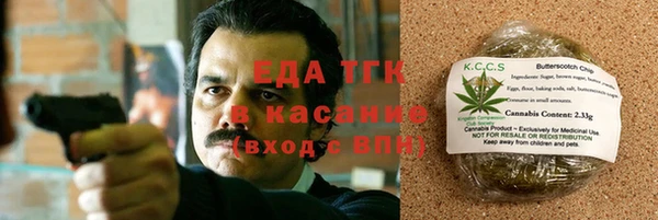 тгк Алзамай