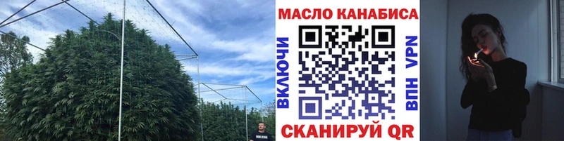 mega   дарнет шоп  Чехов  Дистиллят ТГК THC oil 