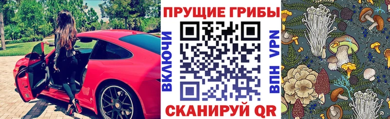 купить  сайты  Чехов  Галлюциногенные грибы мухоморы 